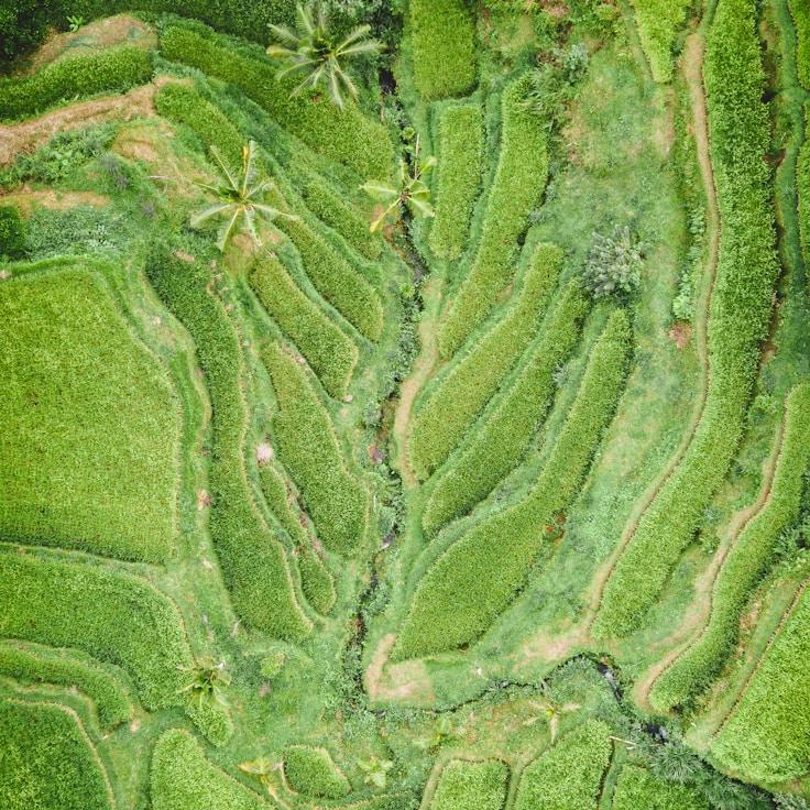 Family terraces and cafés for calm evenings in Zürich